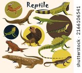 Reptile Species Icons Gecko...