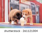Two Puppies Sharing An Ice...