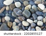 a lot of wet round pebbles. Background with round pebble stones. Stones beach smooth. Top view.