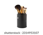 Cosmetic makeup brush isolated on white background. Professional makeup brush in a case. Makeup tool. Visagiste.