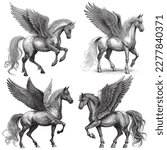 Hand Drawn Engraving Pen and Ink Horse with Wings Pegasus Collection Vintage Vector Illustration