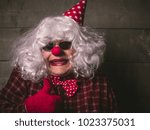 Small photo of Funny droll silly clown with blonde wig and red nose