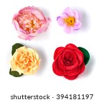Artificial Flowers Isolated