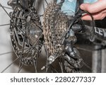 bicycle chain cleaning
bicycle rear cassette