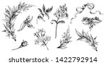flower vintage scroll baroque... | Shutterstock .eps vector #1422792914