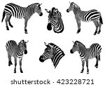 zebras on a white background | Shutterstock .eps vector #423228721