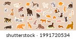 domestic cats and dogs cute... | Shutterstock . vector #1991720534
