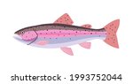 trout fish freshwater wildlife... | Shutterstock .eps vector #1993752044