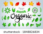 set of colorful green and... | Shutterstock .eps vector #1848826834