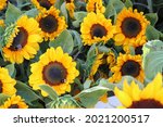 Sunflowers On A Market And A...