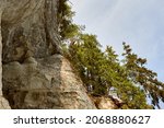 A White rock with pine forest on the top. Selective focus. High quality photo