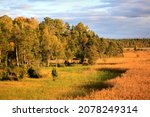 Awesome scenery on the autumn field and forest. Selective focus. High quality photo