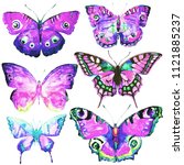 beautiful butterflies  set... | Shutterstock . vector #1121885237