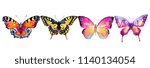 Beautiful Color Butterflies ...
