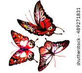 butterfly watercolor  isolated... | Shutterstock . vector #489271831