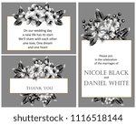 vintage delicate invitation... | Shutterstock . vector #1116518144
