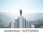 Small photo of Back view of businesswoman standing on book mountain on sky background with mock up place. Education, wisdom and challenge concept