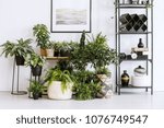 Houseplants on the floor and table standing next to a metal shelf with decorations in living room interior