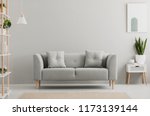 Poster above white cabinet with plant next to grey sofa in simple living room interior. Real photo