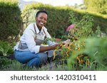 Portrait of mature woman picking vegetable from backyard garden. Black woman taking care of plants in vegetable garden while looking at camera. Proud african american farmer harvesting vegetables.