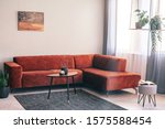 Real photo of a red, suede sofa standing in the corner of a bright living room interior with plants on a swing