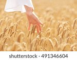 country, nature, summer holidays, agriculture and people concept - close up of young woman hand touching spikelets in cereal field