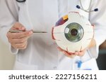 Small photo of Ophthalmologist doctor holds part of anatomical model of eye. Surgical treatment and medical education concept.