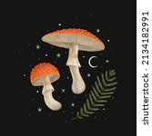 Forest Mushroom Illustration On ...