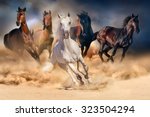 Horse herd run in desert sand storm against dramatic sky