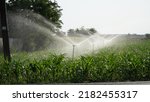 Small photo of Irrigation.Irrigation system.Dryness.Land cultivated with corn irrigated with water.