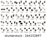 set of animal and bird trails... | Shutterstock .eps vector #264152897