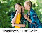 Small photo of Everybody knows that. Chattering girls summer outdoors. Little child whisper news in friends ear. Top secret. Hearing all chit-chat and gossip. Gossiping and talking. Communication between friends.