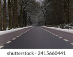 Horizontal shot of a long empty road through snowy forest. Low angle view over an asphalt road with oak, spruce and birch trees covered with snow in the Dutch winter landscape