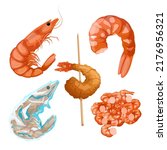 Shrimp Fish Seafood Set Cartoon....