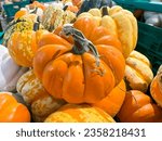 Close-up of orange and white pumpkins