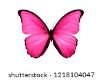  Pink Butterfly Isolated On...