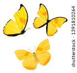 Set of colored butterflies...