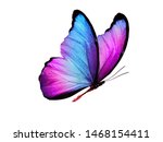 Multicolored butterfly for...