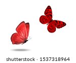 two red butterflies isolated on ... | Shutterstock . vector #1537318964