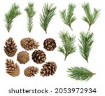 A Set Of Spruce Branches With...