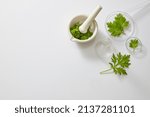 Small photo of Mugwort research decorated in petri dish with mortal and pestle in white laboratory background for experiment advertising