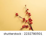 Red apricot blossom branch on...