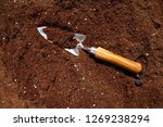 Small photo of Garden trowel on organic substratum with coconut fiber perlite and fertilizer