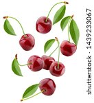 Falling Cherry  Clipping Path ...