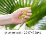 Small photo of Female hand with green nail design at sunny day. Mate green nail polish tropic manicure. Female model hand with perfect green manicure on green tropical nature background. Tropic vacation manicure.