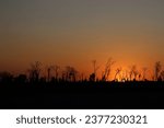 Small photo of Reddish sunset with senarium with dry trees and branches. Morbid and gloomy scenario.