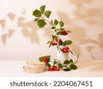 Small photo of Wood podium saw cut of tree on beige background with autumn red hawthorn berries ans plaster vase. Concept scene stage showcase, product, promotion sale, presentation, beauty cosmetic.