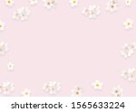 flowers composition  minimalist ... | Shutterstock . vector #1565633224