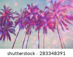 Palm Trees On Tropical Beach...