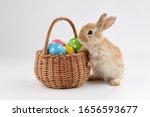 Easter Bunny Rabbit With Basket ...